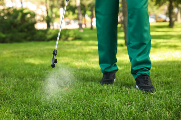 Best Wasp Removal Services  in Los Luceros, NM