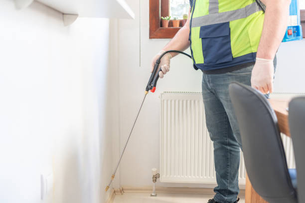 Best Mosquito Control Services  in Los Luceros, NM