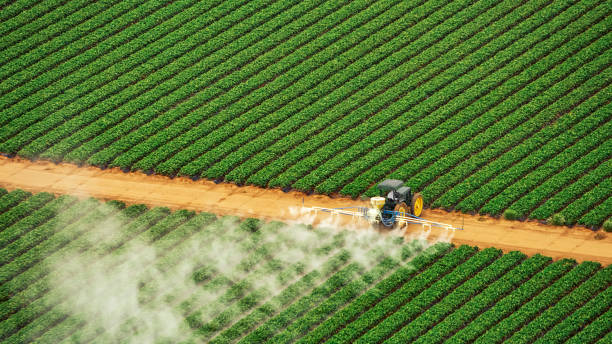 Best Mosquito Control Services  in Los Luceros, NM
