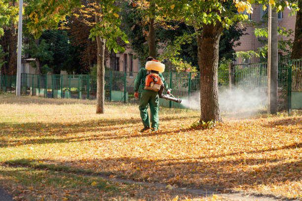 Best Commercial Pest Control Services  in Los Luceros, NM